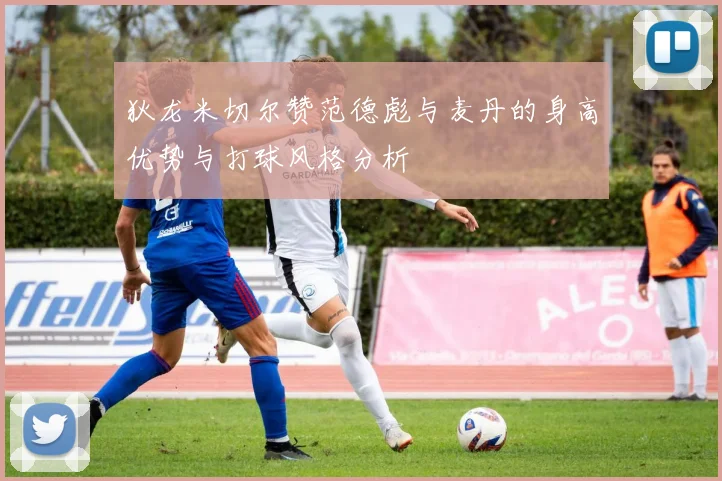 狄龙米切尔赞范德彪与麦丹的身高优势与打球风格分析
