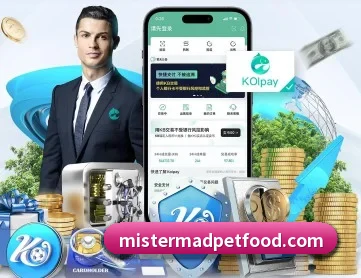 友博体育官方版 APP 深度功能