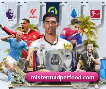 友博体育官方版 APP